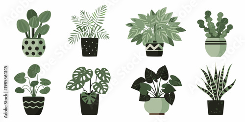 Collection of eight potted houseplants in varying shades of green