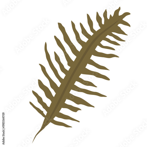 ワカメ　海藻のアイコンイラスト