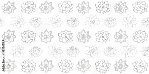 A collection of delicate sketched succulent illustrations in grayscale