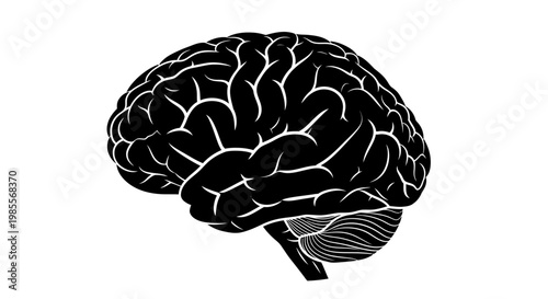 Human Brain Illustration Close Up.