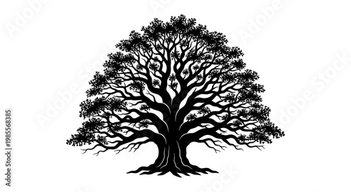Large Tree Silhouette with Branches.