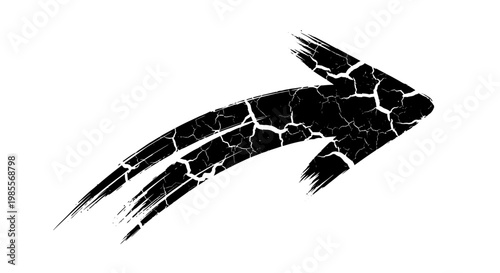 Black and white fish swimming right.