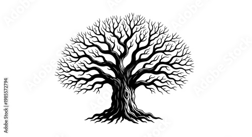 Detailed illustration of bare tree.