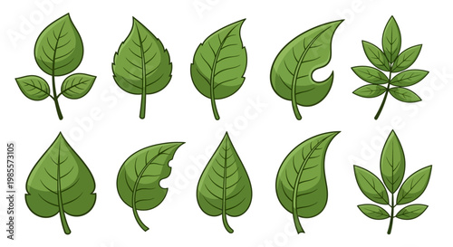 Collection of various green leaf shapes.