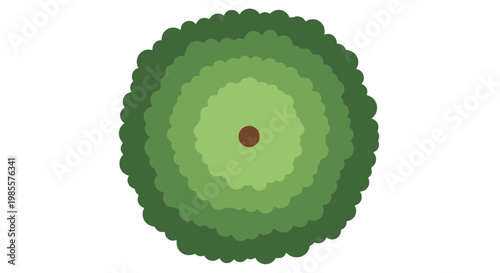Aerial view illustration of a tree with concentric layers of green foliage creating a rounded canopy shape on a white background