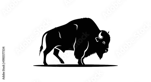 Black stylized vector of an American bison walking on grass; wildlife illustration strong powerful mammal with thick fur and horns