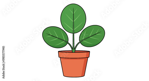 Cartoon drawing of a green pilea peperomioides houseplant in a terracotta pot a trendy indoor plant with circular leaves isolated on white