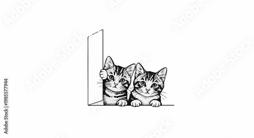 Two playful tabby kittens peeking around a corner with curious expressions