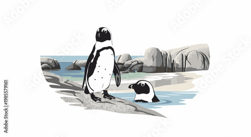 Two penguins, one standing on rocks, the other swimming in blue water