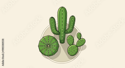 Collection of potted green cacti plants on a round surface in flat vector illustration style for botanical designs and desert themes