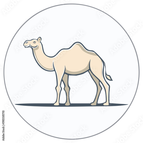 Camel Illustration with One Hump Standing Still in White Circle Design