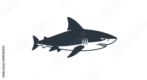 Dark blue shark illustration with sharp teeth and gills in side profile on white background; fierce ocean predator vector