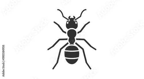 Ant illustration featuring a black insect with detailed legs antennae and segmented body on a clean white backdrop in vector style