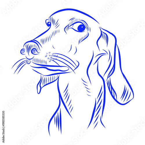Hand drawn vector illustration of an adult dog s emotions, dog portrait, blue line art on a white background