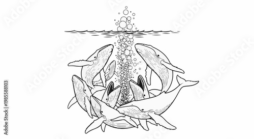 Whales surfacing and blowing bubbles in a circular formation