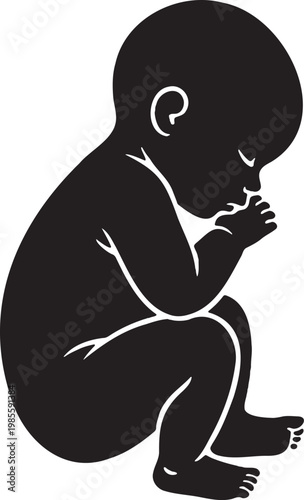 a black silhouette of a fetus in a fetal position on a white background, representing a medical or educational concept