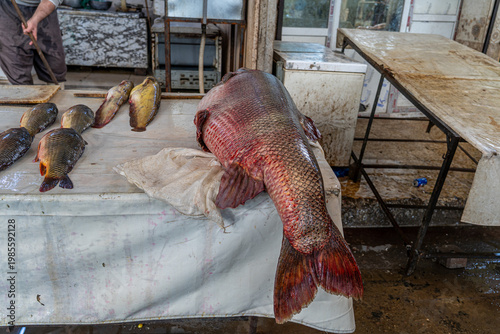 Fish market in old Mosul, Iraq