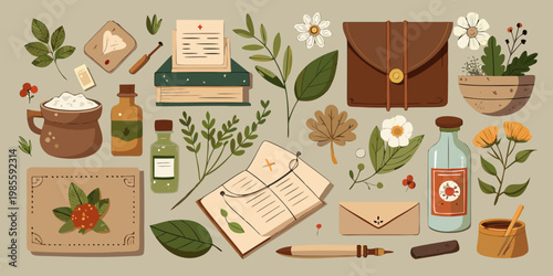 Collection of vintage botanical and apothecary elements, vector