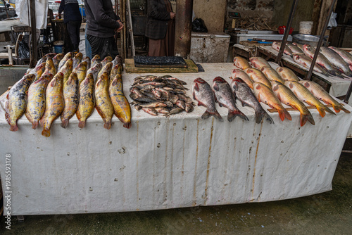 Fish market in old Mosul, Iraq
