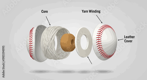 Exploded view illustration of a baseball showing the core yarn winding and leather cover against a neutral background