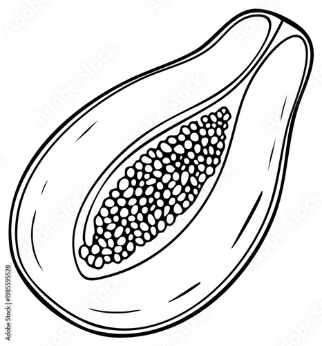 Hand drawn illustration of a ripe papaya fruit cut in half showing seeds inside