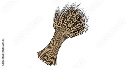 Sheaf of Wheat Ears Tied with Twine, Agricultural Harvest Illustration