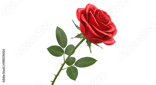 Single Red Rose with Green Stem and Leaves