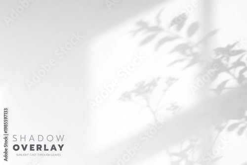 Soft leaf shadows cast on a bright, clean background. The natural sunlight creates an elegant, minimalistic overlay effect, perfect for use in design projects, presentations, social media graphics