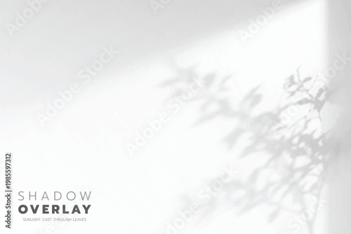 Soft leaf shadows cast on a bright, clean background. The natural sunlight creates an elegant, minimalistic overlay effect, perfect for use in design projects, presentations, social media graphics