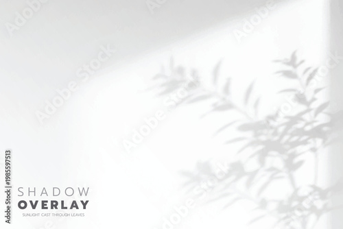 Soft leaf shadows cast on a bright, clean background. The natural sunlight creates an elegant, minimalistic overlay effect, perfect for use in design projects, presentations, social media graphics