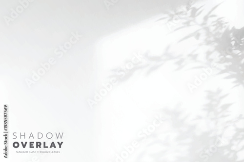 Soft leaf shadows cast on a bright, clean background. The natural sunlight creates an elegant, minimalistic overlay effect, perfect for use in design projects, presentations, social media graphics