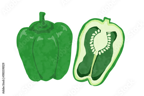 手描き風のピーマンのベクターイラスト