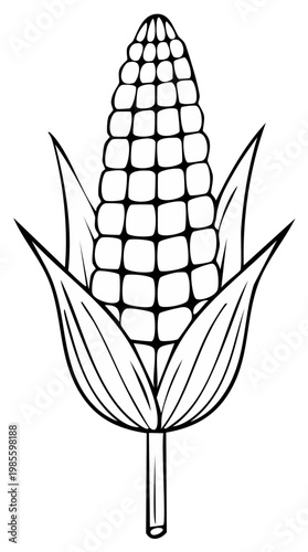 Black and white illustration of a ripe ear of corn with husks and stem