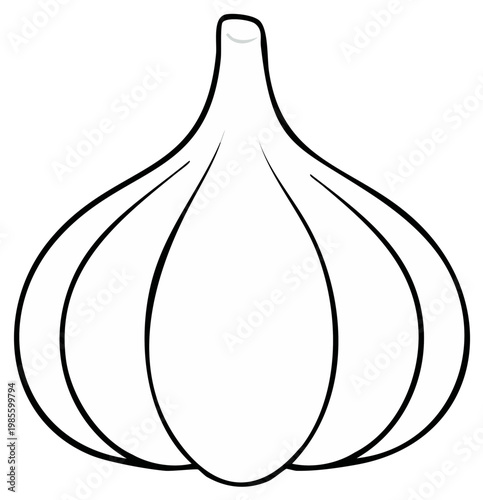 Black and White Line Art of Garlic Bulb Ready to Color or Fill