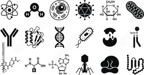 Bild auf Leinwand Cellular Structures and Biological Molecules: Vector Icons Set Depicting Atoms,
