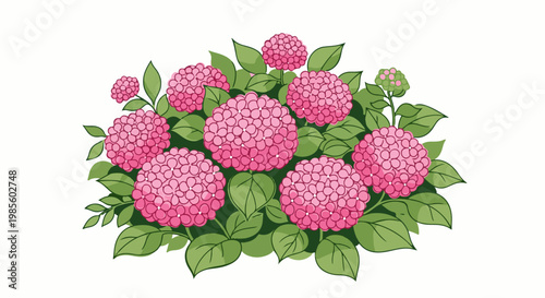 A vibrant cluster of pink hydrangeas with lush green foliage