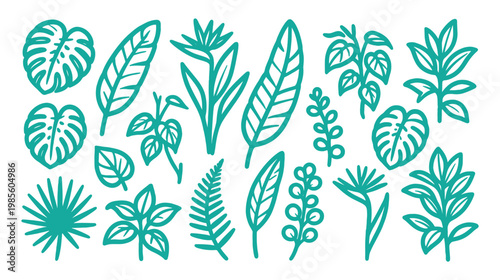 Tropical Leaves Doodle Vector Set — Monstera Palm Fern Green Plant Illustration Collection