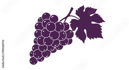 Bunch of Grapes with Leaf Illustration.