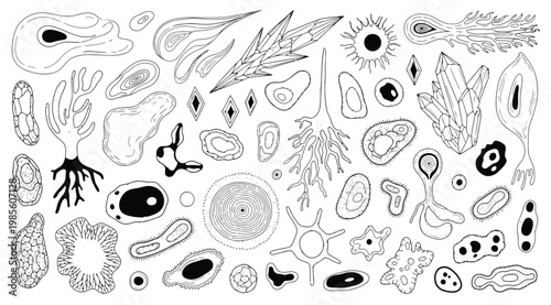 Collection of various biological cells, microorganisms, bacteria, and abstract organic shapes, hand drawn vector set