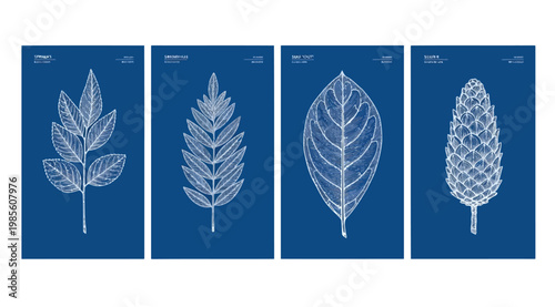 Set of four botanical illustrations of various leaves and a pinecone on a blue background