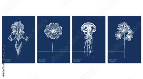 Set of four blue botanical and marine prints featuring an iris, a cosmos flower, a jellyfish, and a cherry blossom branch in a vintage blueprint style