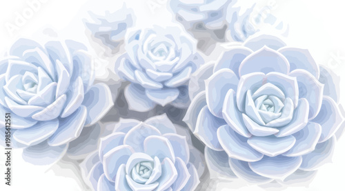 Set of blue succulent plants illustration