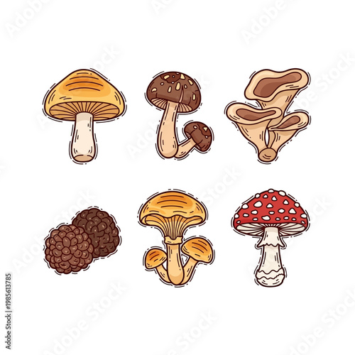 A collection of six different types of mushrooms, illustrated in a cartoon style.