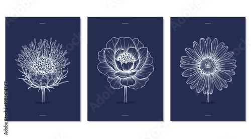 Set of three botanical posters with detailed white line art flower illustrations on a deep blue background