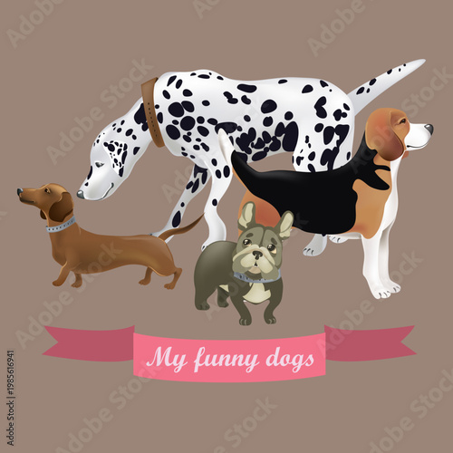 Collection Of Various Dog Breeds Standing