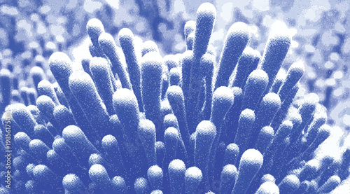Closeup of vibrant blue coral polyps in an underwater reef environment