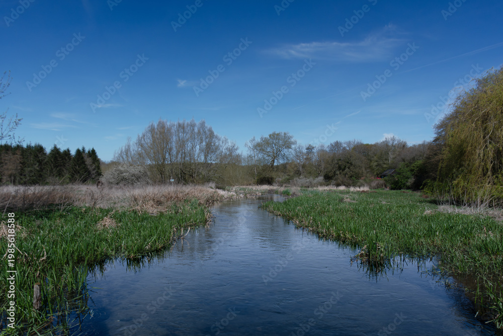 Fototapeta premium The River Chess in Chorleywood