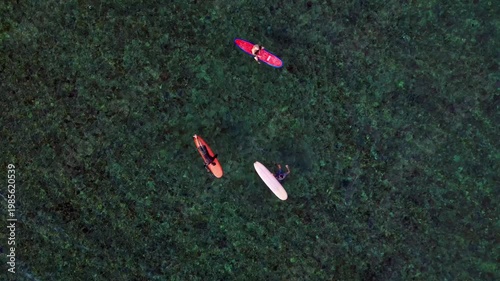 Surfers waiting on surfboards in clear ocean water. Smooth aerial view drone