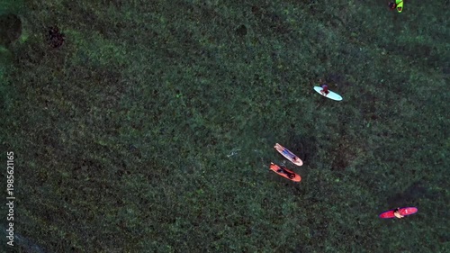 Surfers waiting on surfboards in clear ocean water. Unique aerial view drone