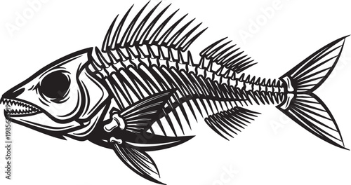 Fish skeleton side view illustration.